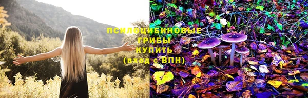 a pvp Армянск